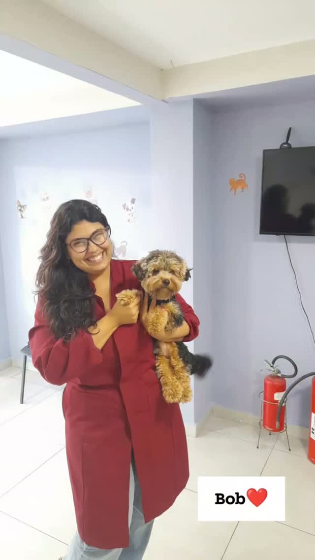 Profissional da AmparaVet segurando um paciente canino